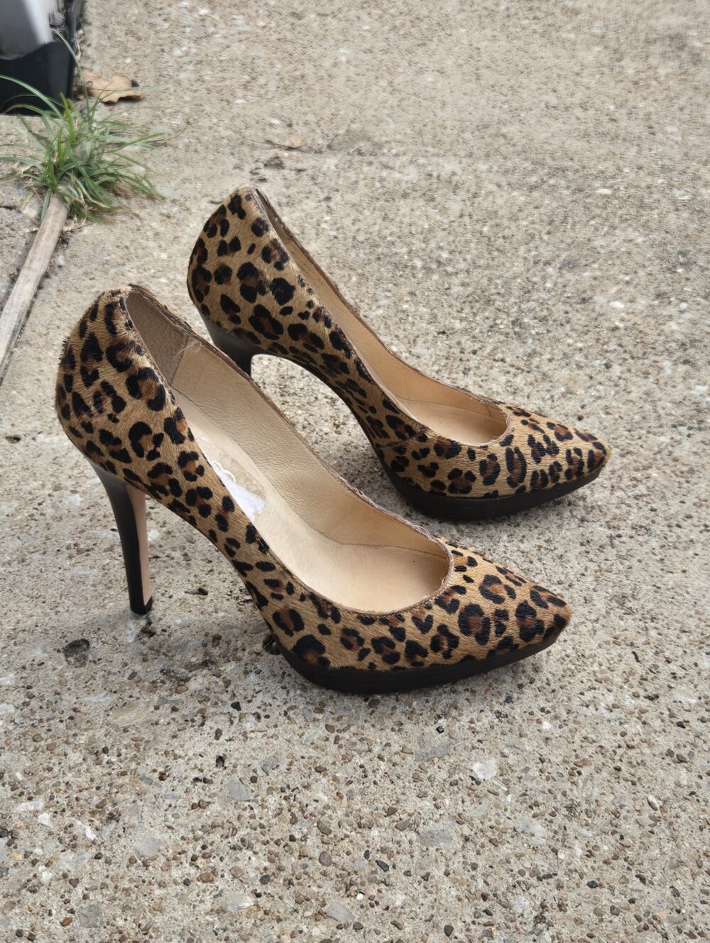 Leopard Print Pointed Toe High Heels - Women
